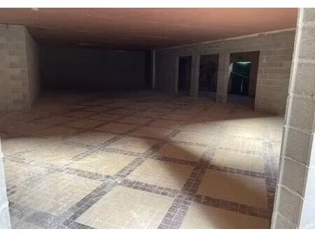 vente commerce le palais sur vienne 87410 216m²