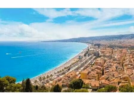 vente commerce nice 06200 502m²