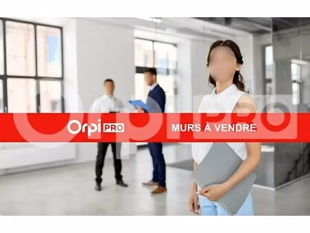 vente commerce 255 m²