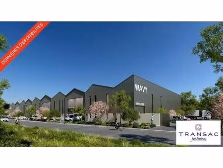vente entrepôt lattes 34970 243m²