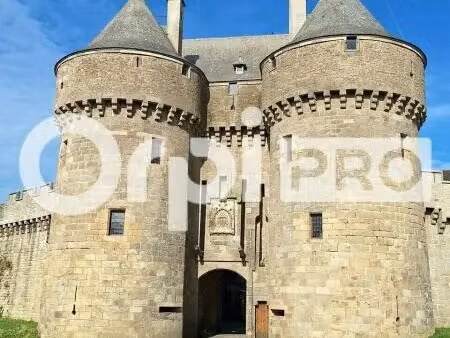 vente commerce 50 m²