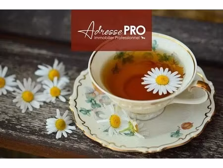 vente commerce 80 m²