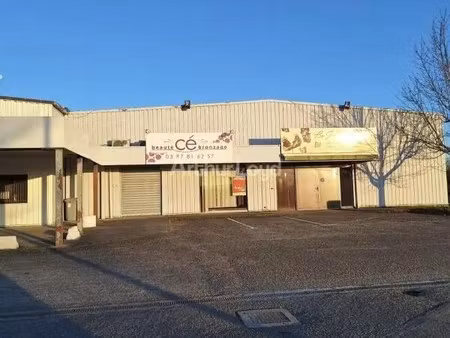 location commerce 137 m²