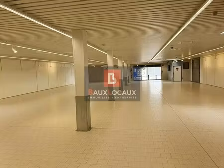 location commerce saint martin de crau 13310 687m²