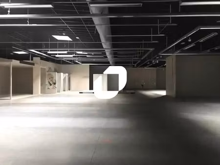 vente commerce 1 800 m²