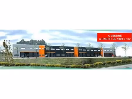 vente commerce charancieu 38490 140m²