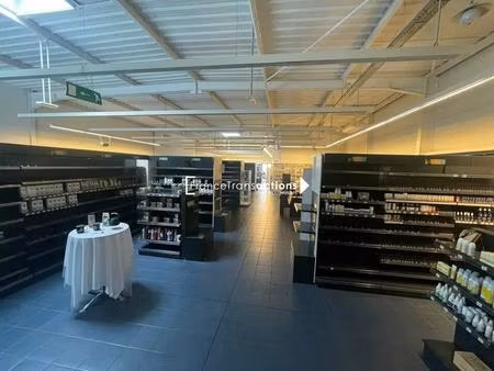 location commerce 350 m² à 500 m²