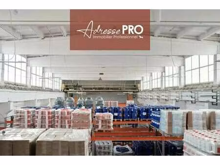 location commerce brest 29200 1200m²