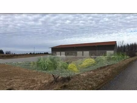 location commerce 200 m² à 1 000 m²