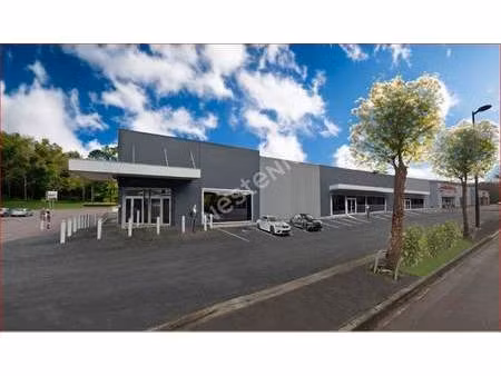 location commerce saint avold 57500 870m²