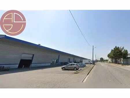 location commerce 458 m²