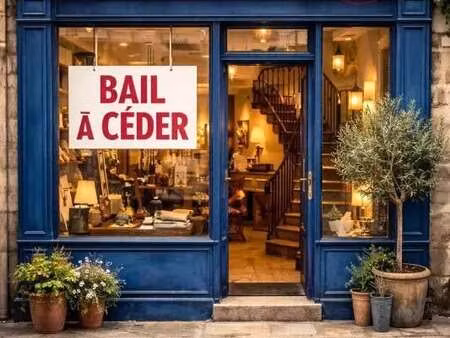 location commerce paris 3eme 75003 54m²