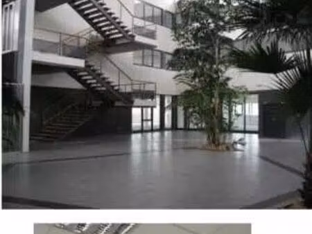 location bureaux 260 m²