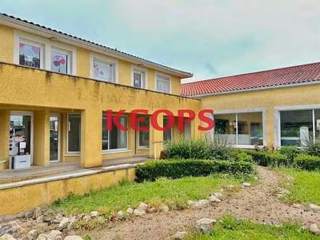 location commerce rouffiac tolosan 31180 100m²