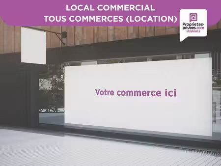 location commerce saint nicolas de port 54210 260m²
