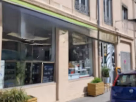 location commerce lyon 69007 25m² à 137m²