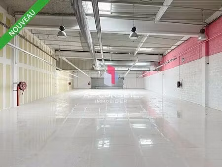 location commerce 1 203 m²