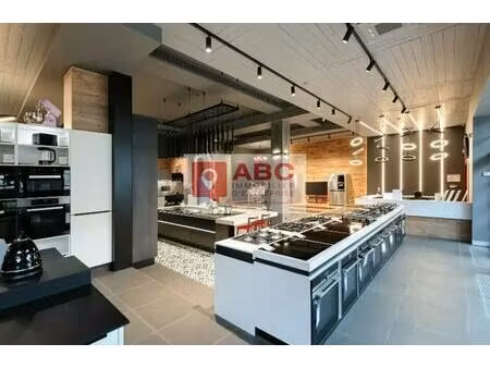 location commerce perpignan 66100 425m²