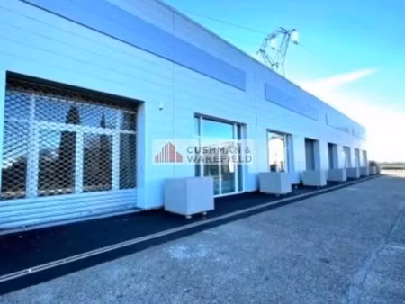 location bureaux 84 m² à 169 m²