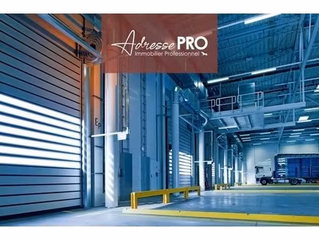 location commerce 730 m²