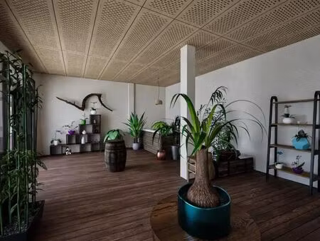 location commerce 234 m²