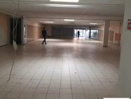 location commerce grenoble 38000 520m²