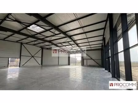 location commerce mainvilliers 28300 313m²
