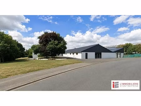location commerce plerin 22190 1100m²