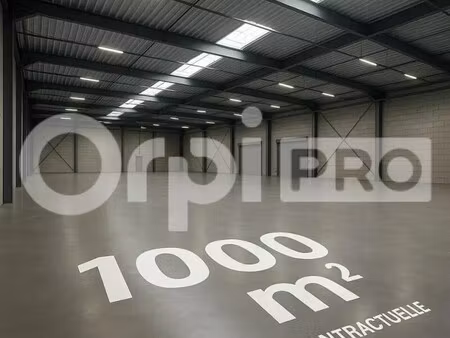 location commerce 1 000 m²