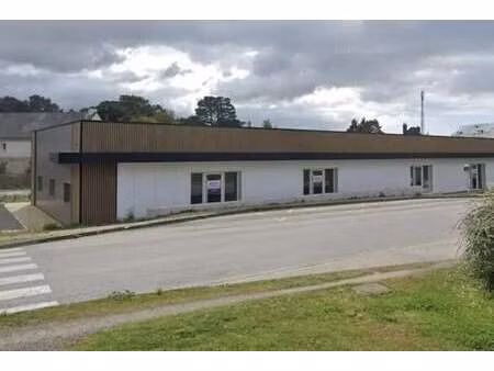 location commerce belz 56550 126m² à 524m²