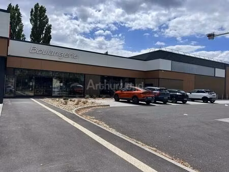 location commerce 233 m²