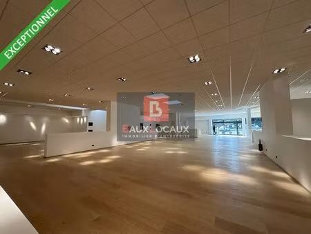 location commerce avignon 84000 1100m²