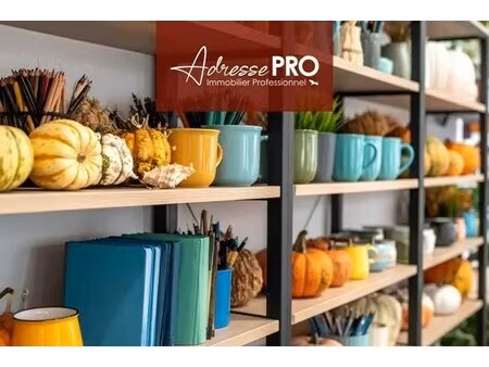 location commerce 50 m²