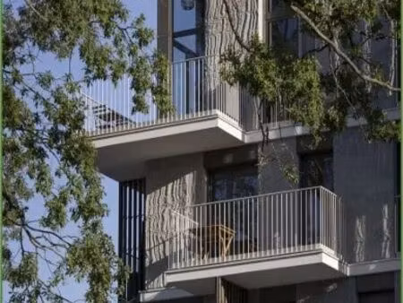 location commerce 119 m² à 338 m²