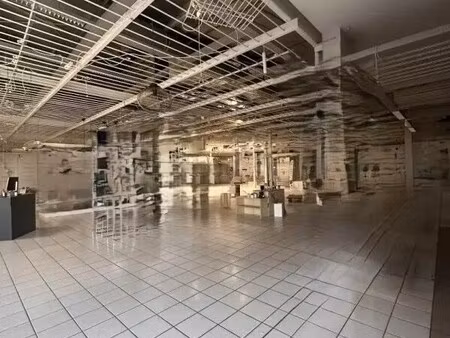 location commerce portet sur garonne 31120 1100m²