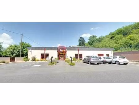 vente bureaux 600 m²