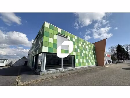 location commerce schweighouse sur moder 67590 548m²