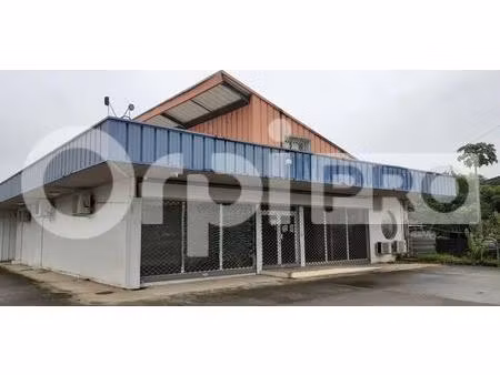 location commerce 410 m²