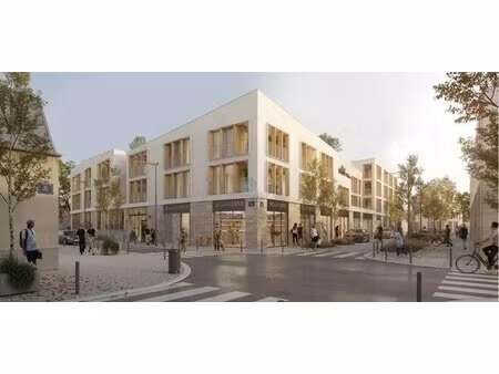 location commerce olivet 45160 122m² à 602m²