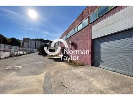 vente local d'activités 3 000 m²