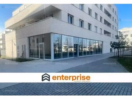 location commerce amiens 80000 233m²