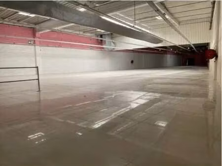 location commerce 1 203 m²