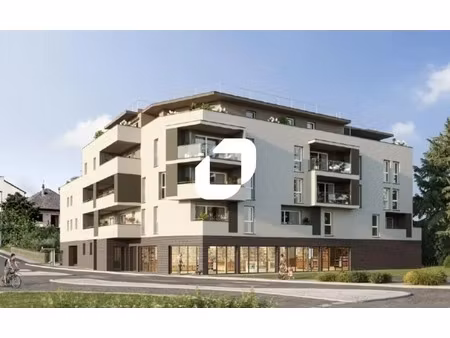 location commerce voiron 38500 329m²