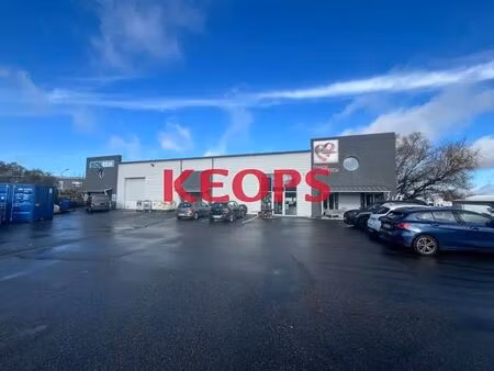 vente local d’activités pechbonnieu 31140 700m²