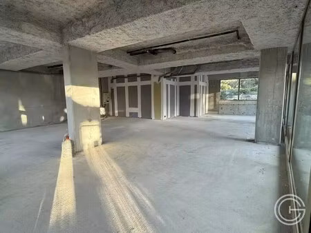 location commerce 238 m²