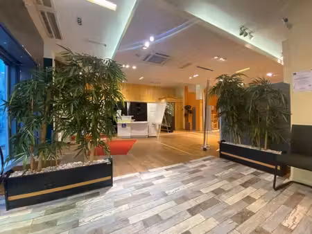 location commerce 331m²