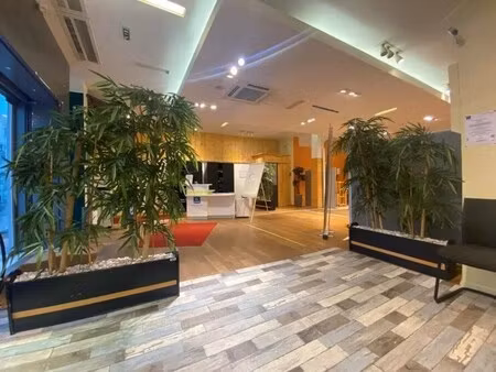 location commerce 375 m²