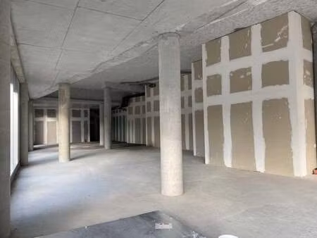 location commerce 365 m²