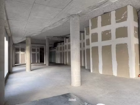 location commerce lille 59000 365m²