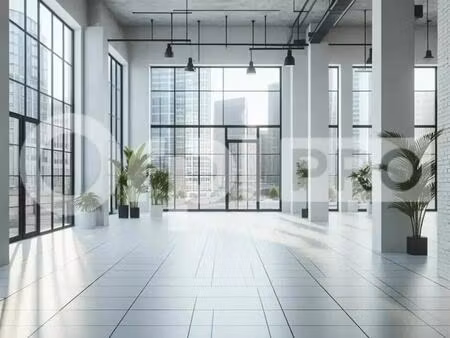 location commerce 330 m²